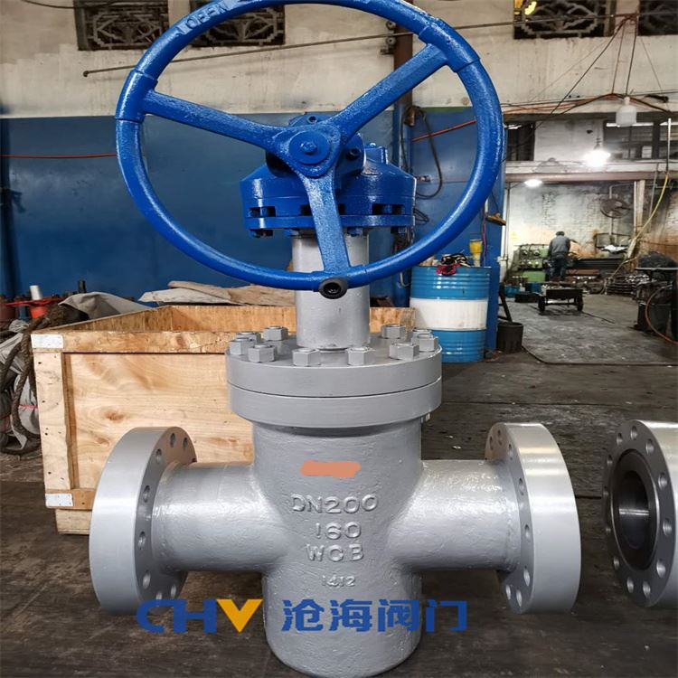 Z543Y-160高壓齒輪傳動平板閘閥