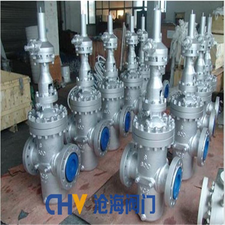 CHVJ滄海Z543WF/Y-63齒輪傳動大口徑平板閘閥